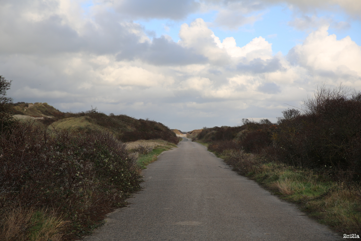 La Route Blanche, janvier 2016