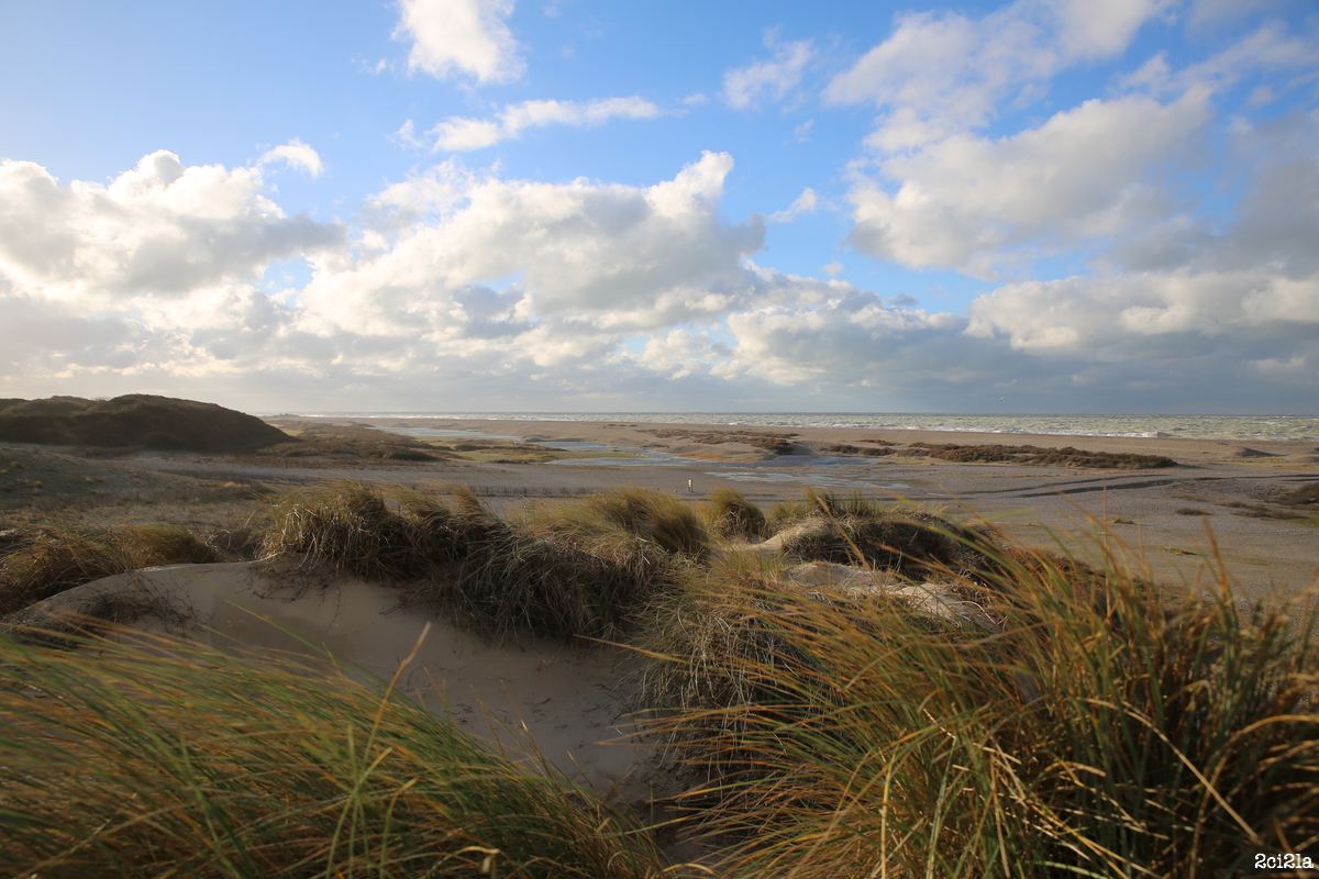 Dunes blanches. La Mollière, Cayeux-sur-Mer. Janvier 2016