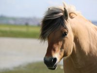 Ticket-sport : activités sportives pendant les vacances d’hiver