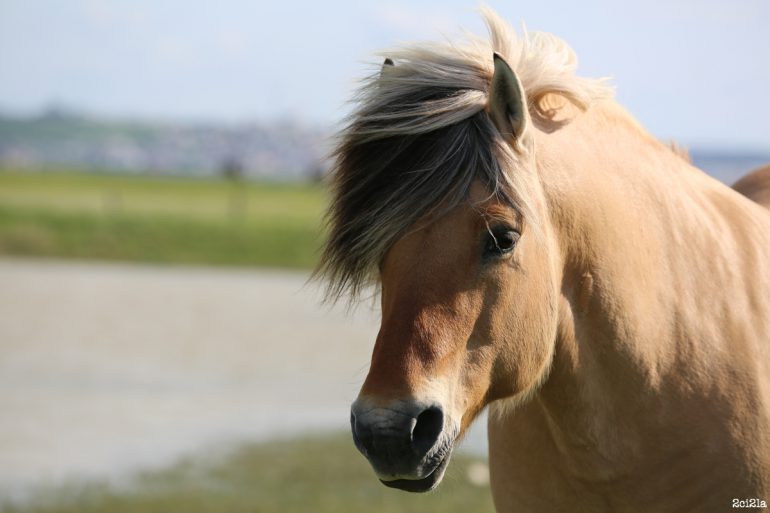 Ticket-sport : activités sportives pendant les vacances d’hiver