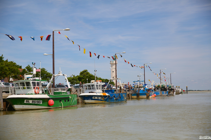 Port du Hourdel, juillet 2015