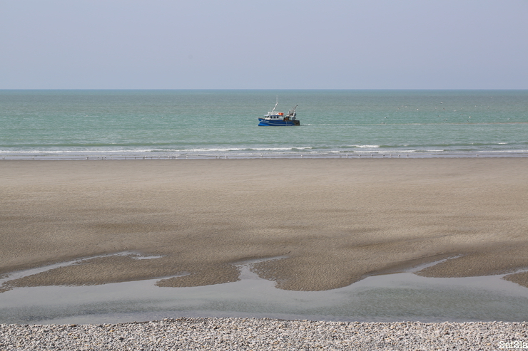 Pêche côtière à Cayeux-sur-Mer : l'Ocra. Avril 2016