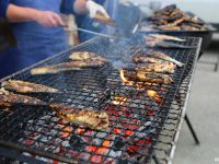 Grande harengade des Pompons rouges