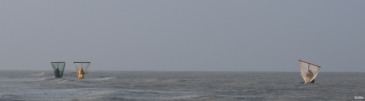 Pêcheurs au pousseux. Cayeux-sur-Mer. Mars 2016