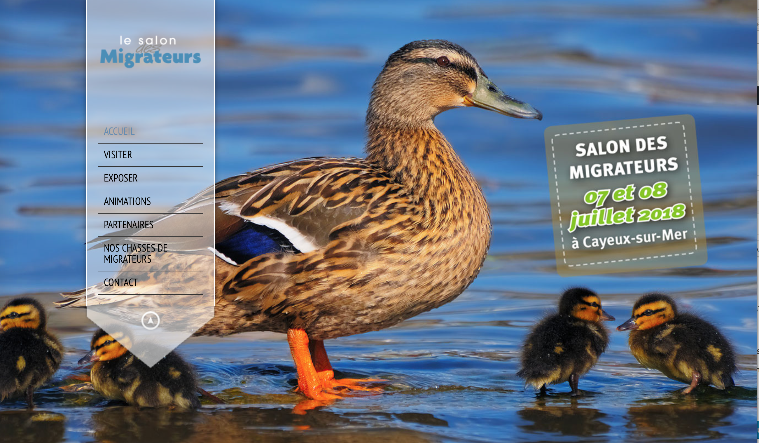 Salon du migrateur Cayeux sur mer juillet 2018