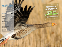 🦆 Salon des Migrateurs