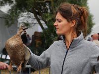 Salon des Migrateurs : succès renouvelé de la foire aux appelants