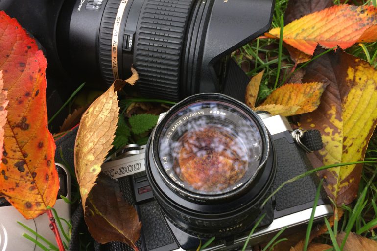 Concours photo : “Cayeux, couleurs d’automne”