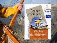 Pêche à pied : les bonnes pratiques préservent la pêche de demain