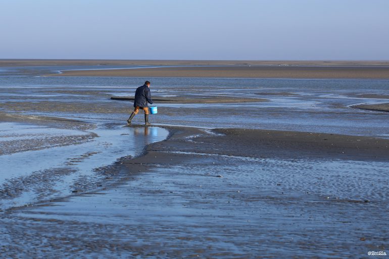 Pêche à pied de loisir : rappel des règles