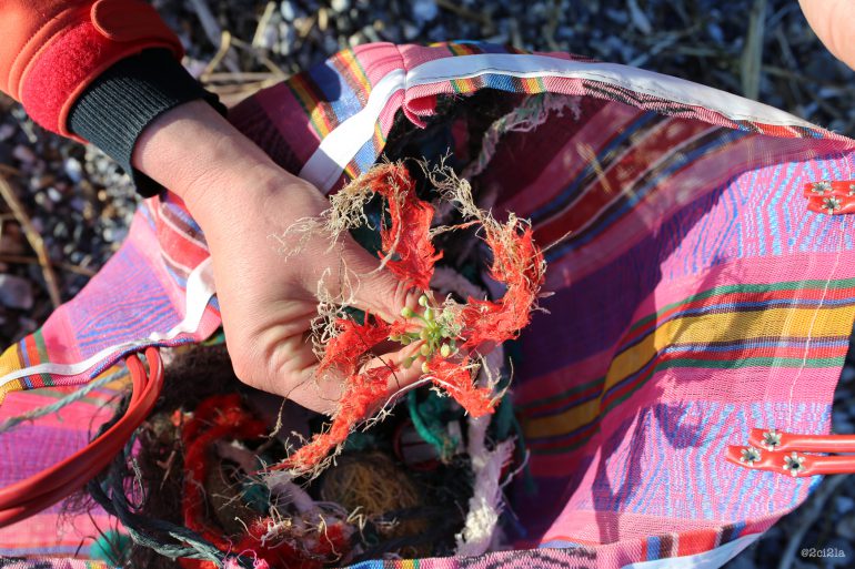 Laisses de terre et de mer