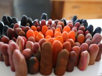 Laisses de terre et de mer