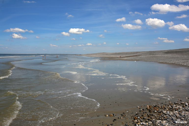 Eaux rousses ou mousses de mai, pourquoi, comment ?