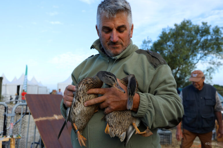Salon des migrateurs : l’événement chasse