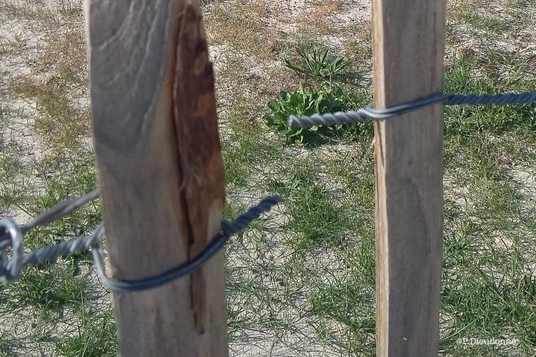 Nouvelle voie verte : à peine terminée, déjà dégradée !