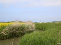 Enquête publique Restauration et Entretien des Bas-Champs