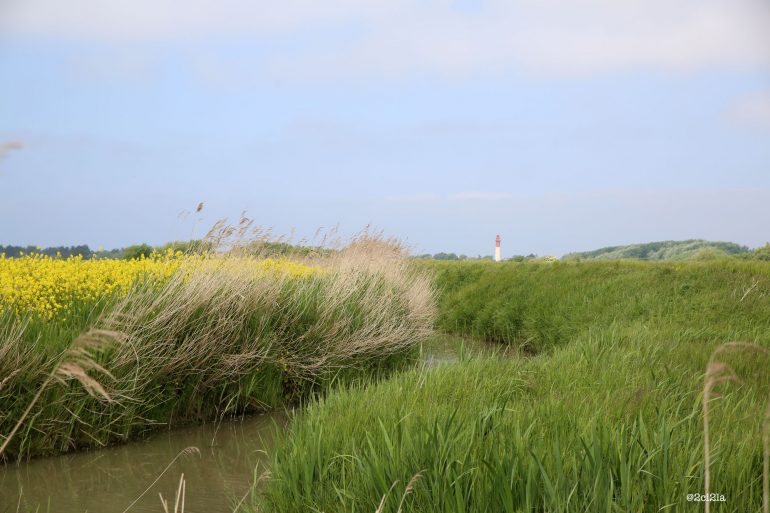 Enquête publique Restauration et Entretien des Bas-Champs