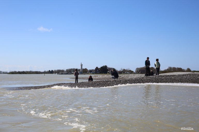 Vigilance Grandes marées