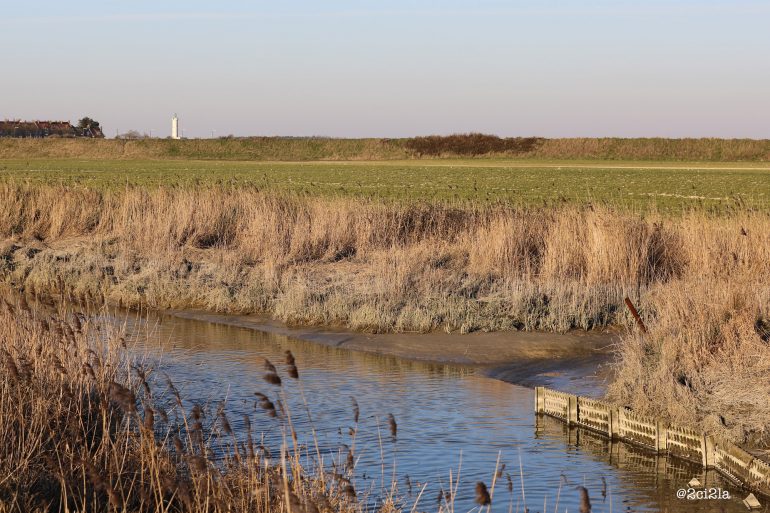 Enquête publique : Schéma d’aménagement et de gestion des eaux