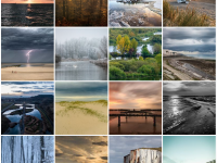 Festival de l’oiseau et de la nature 2019 : Mon plus beau coin nature des Hauts-de-France