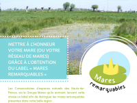 Concourir pour le label “Mares remarquables des Hauts-de-France”