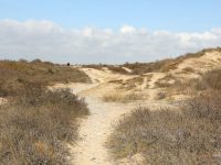 Enquête publique : Sentier du littoral