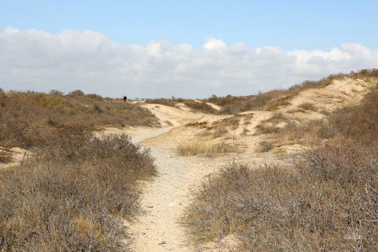 Enquête publique : Sentier du littoral