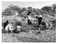 Ateliers pour enfants à la découverte de la laisse de mer