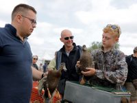 Amassoères, siffleurs et sarcelles, vedettes incontestables du Salon des migrateurs