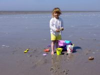 Concours de châteaux de sable
