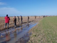 97 Lièvres, 32 faisans, 16 couples de perdreaux…