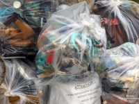 Collecte des déchets à partir du 14 avril 2020