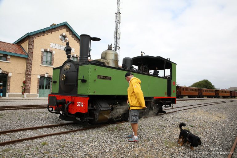 La Ville vous offre une balade en petit train !