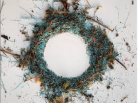 Laisses de mer impromptues en Picardie maritime