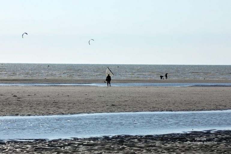 Grandes marées : soyez  prudents !
