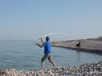 Quand le maquereau est là, tous à la ligne !