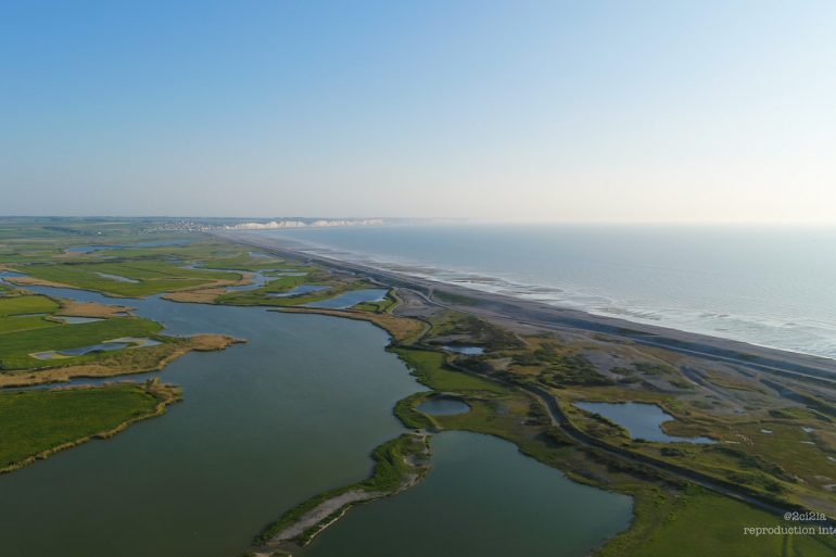 Pêche sélective dans la Réserve de chasse et de faune sauvage du hâble d’Ault