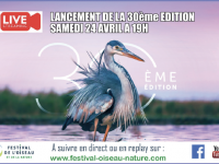 Le Festival de l’oiseau aura bien lieu (mais il s’adapte à la situation sanitaire)