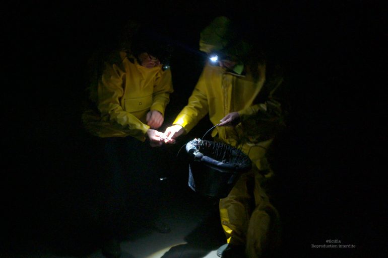 Pêche à la cordée à Cayeux-sur-Mer, tous les secrets de Michel (ou presque)…