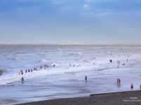Cayeux-sur-Mer labellisée Pavillon bleu pour la 7ème année consécutive !