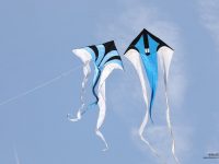 Le festival des cerfs-volants de Cayeux-sur-Mer : samedi 12 et dimanche 13 juin 2021