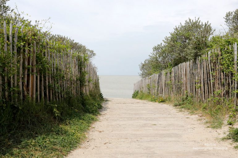 Travaux sur la Route blanche : l’accès au parking des Dunes est temporairement interdit