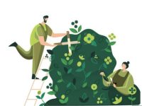 Feux de broussailles et feux de moisson : soyez vigilants !