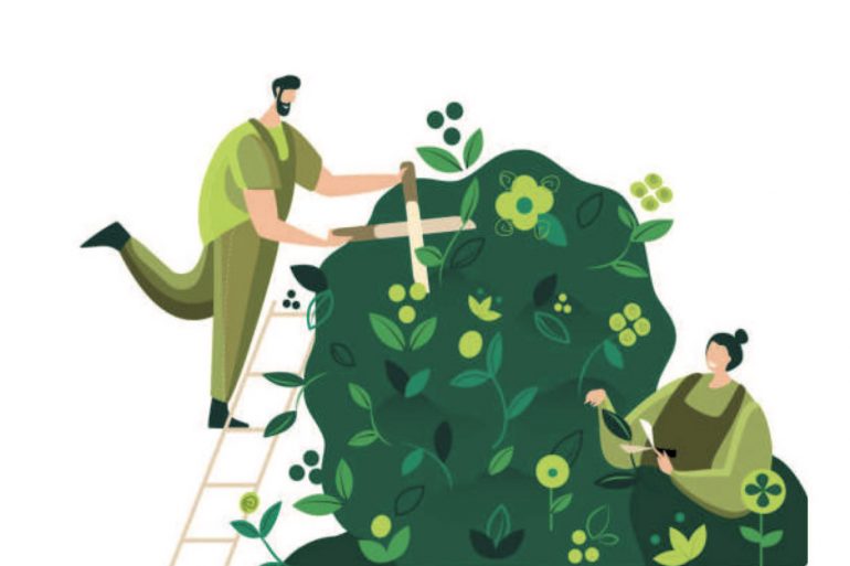 Feux de broussailles et feux de moisson : soyez vigilants !