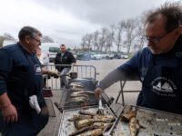 Les Pompons et les harengs, petite histoire d’une harengade