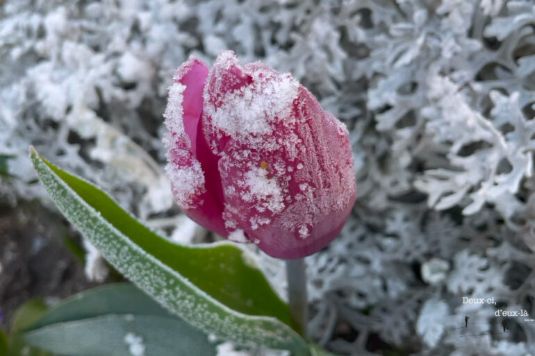 Alerte météo neige et verglas
