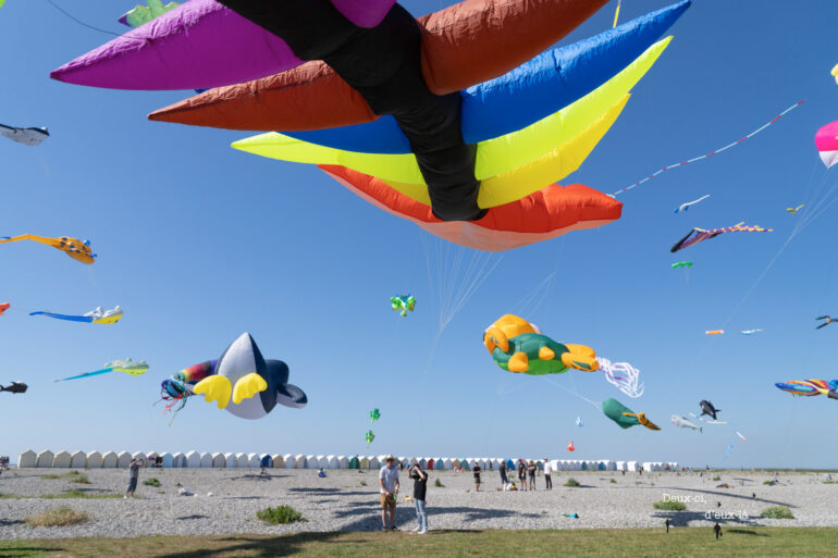 Samedi 11 et dimanche 12 juin : Festival des cerfs-volants de Cayeux-sur-Mer