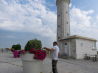 Deux fleurs, confirmées !