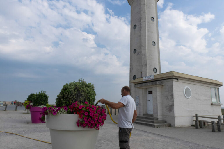 Deux fleurs, confirmées !