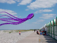 Festival des cerfs-volants